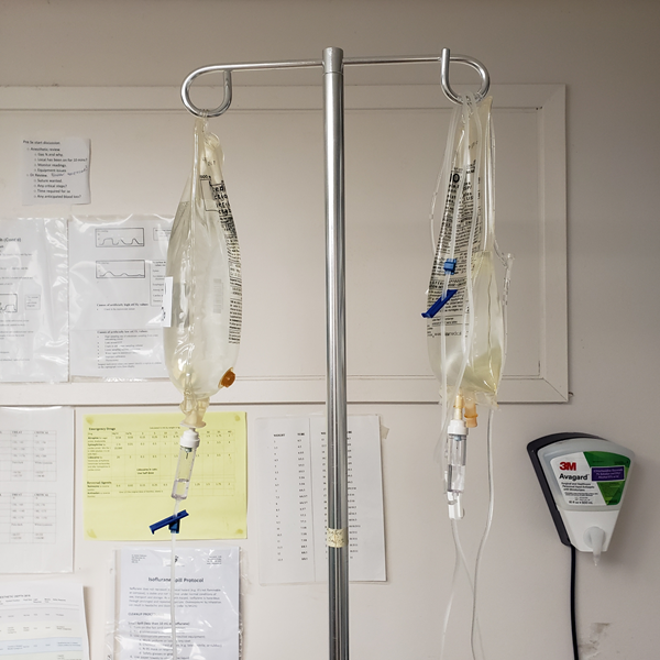 how to administer sub q fluids to a pet